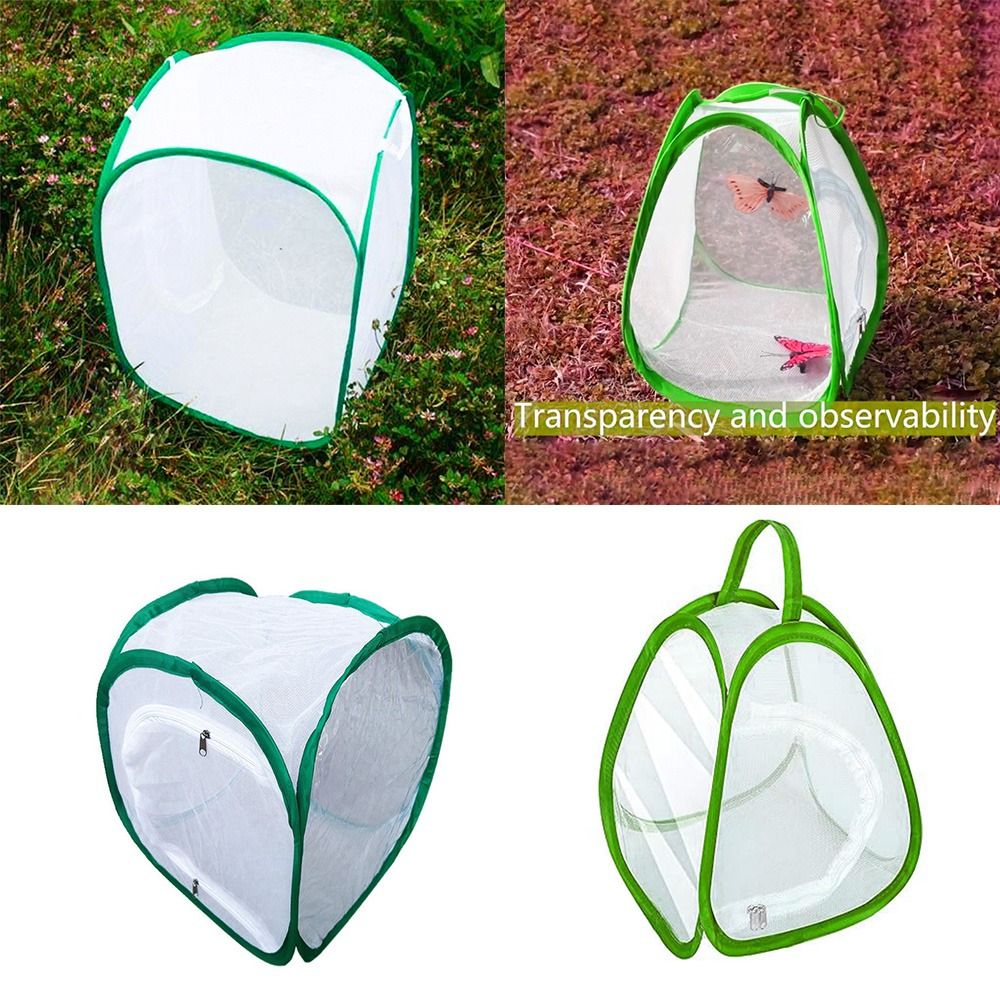 Green Screen Collapsible - Green Collapsible Insect Cage Zipper Opening