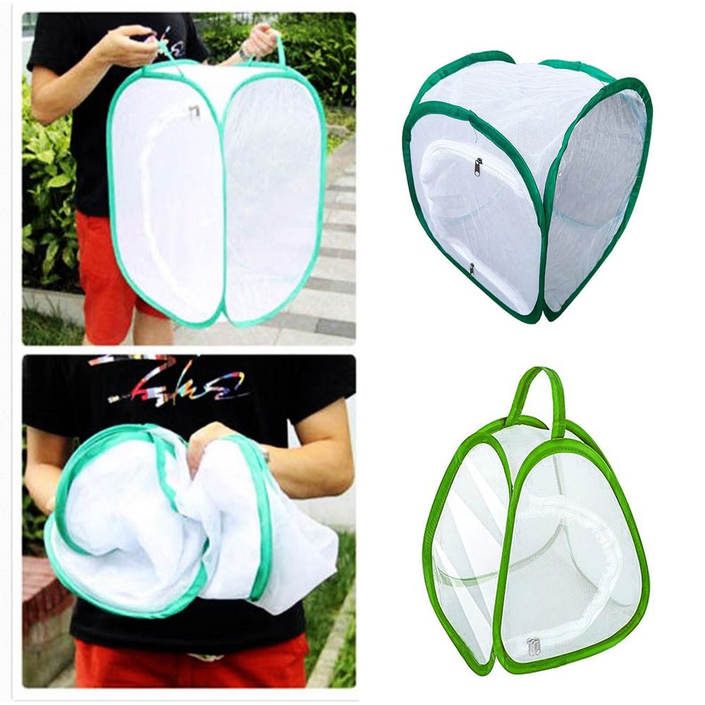 Green Screen Collapsible - Green Collapsible Insect Cage Transparent Mesh
