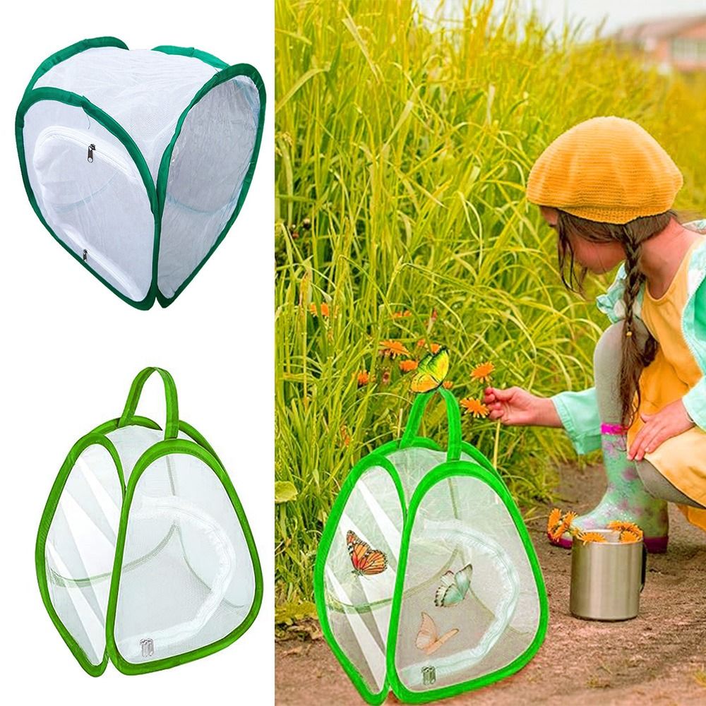 Green Screen Collapsible - Green Collapsible Insect Cage Transparent Mesh
