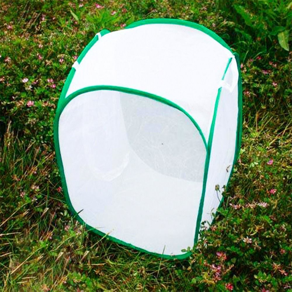 Green Collapsible Insect Cage  - Green Screen Collapsible 评论和价格