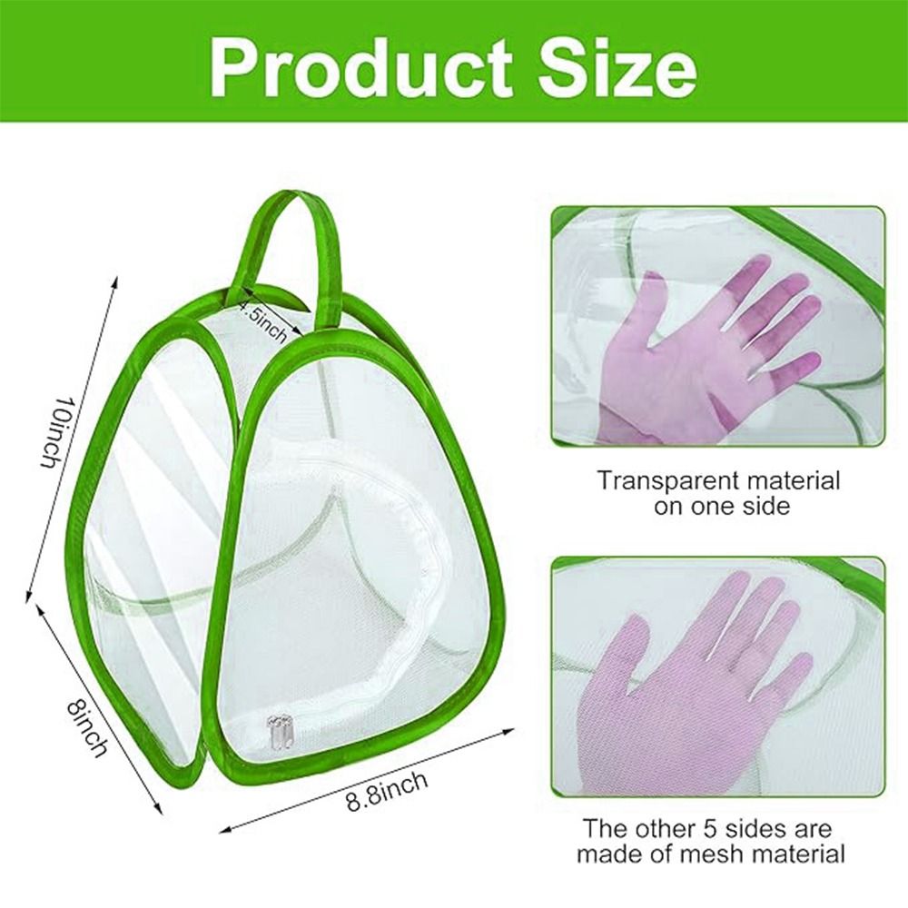 Green Collapsible Insect Cage  - Green Screen Collapsible 评论和价格