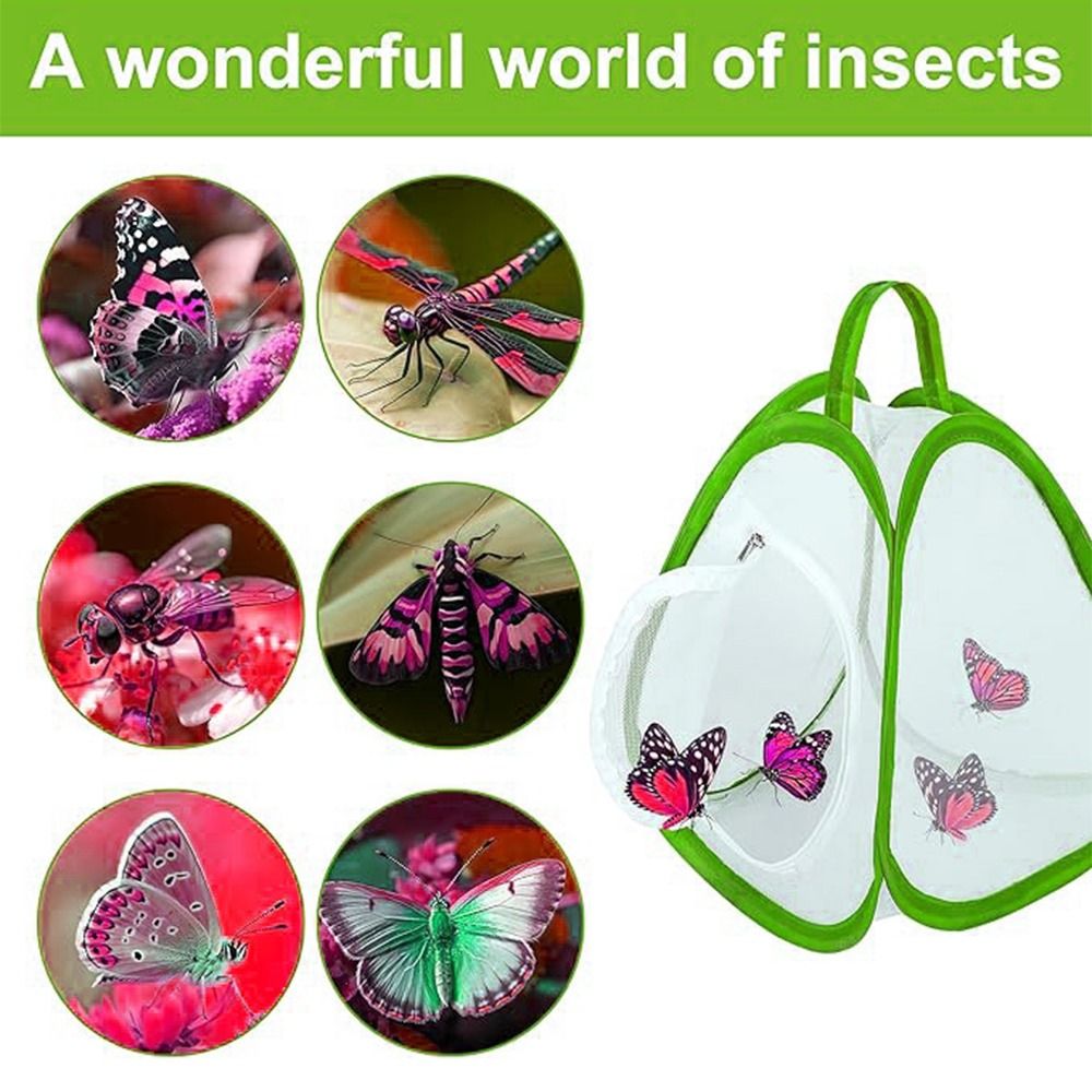 Green Collapsible Insect Cage  - Green Screen Collapsible 评论和价格