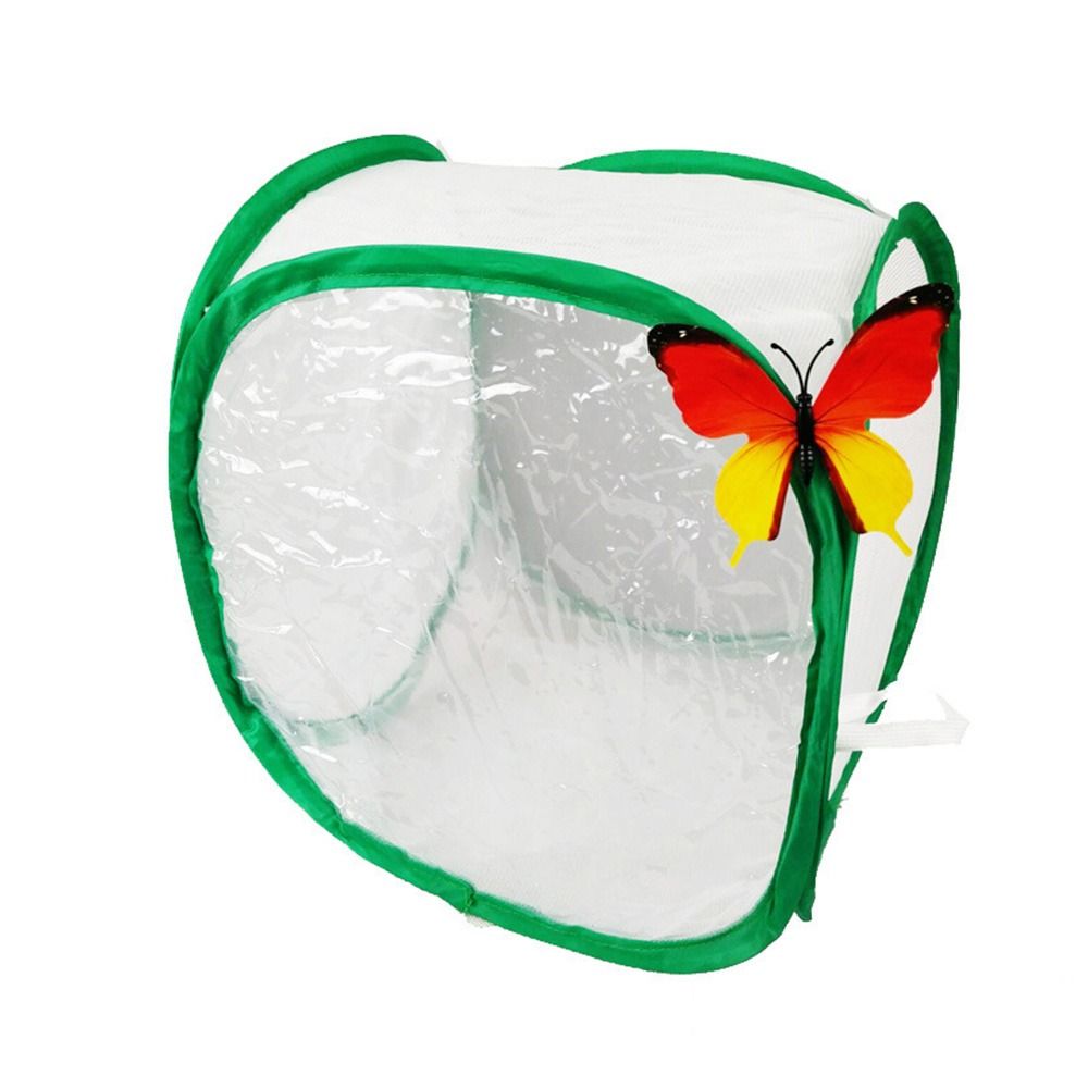 Green Collapsible Insect Cage  - Green Screen Collapsible 评论和价格