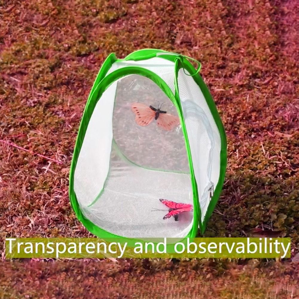 Green Collapsible Insect Cage  - Green Screen Collapsible 评论和价格
