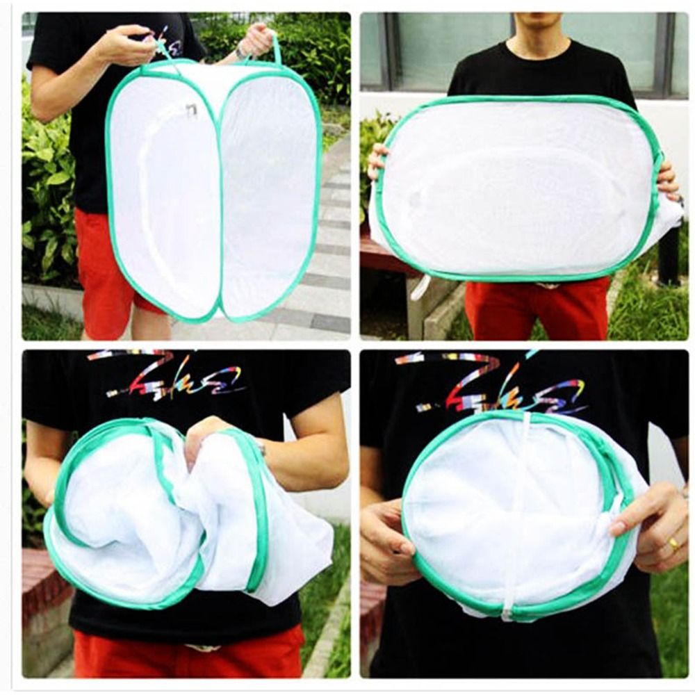 Green Collapsible Insect Cage  - Green Screen Collapsible 评论和价格